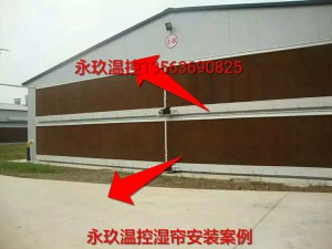 糖心黄色网站安装现场