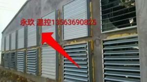 糖心VLOG现在观看安装现场