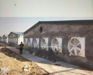 糖心VLOG现在观看安装现场