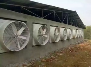 糖心VLOG现在观看安装现场